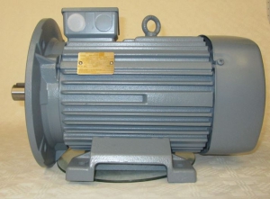 Electric motor - 1450 U / min - 4 Kw - 400V / 50Hz - IP65
